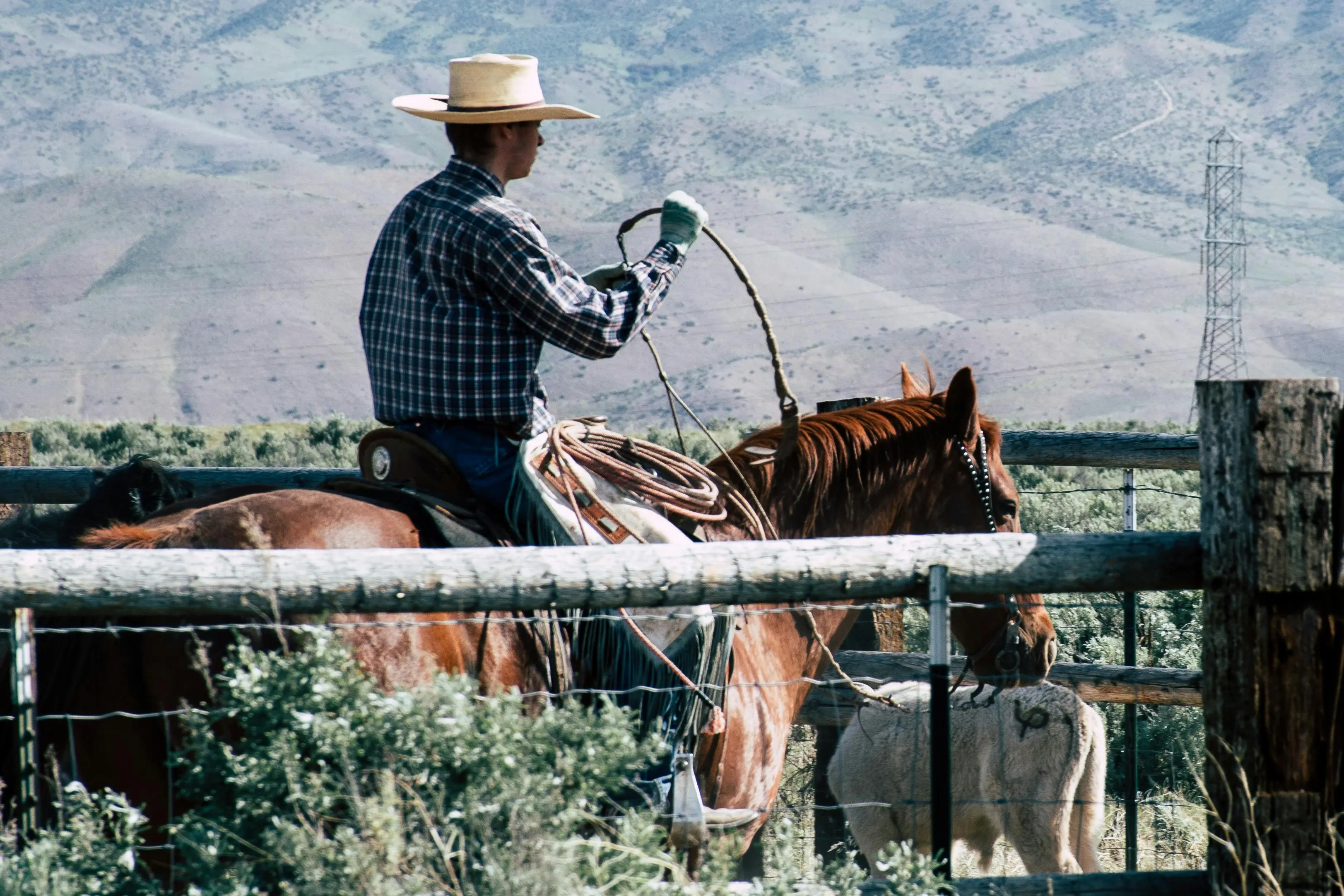5 Ways To Avoid Cowboy Builders