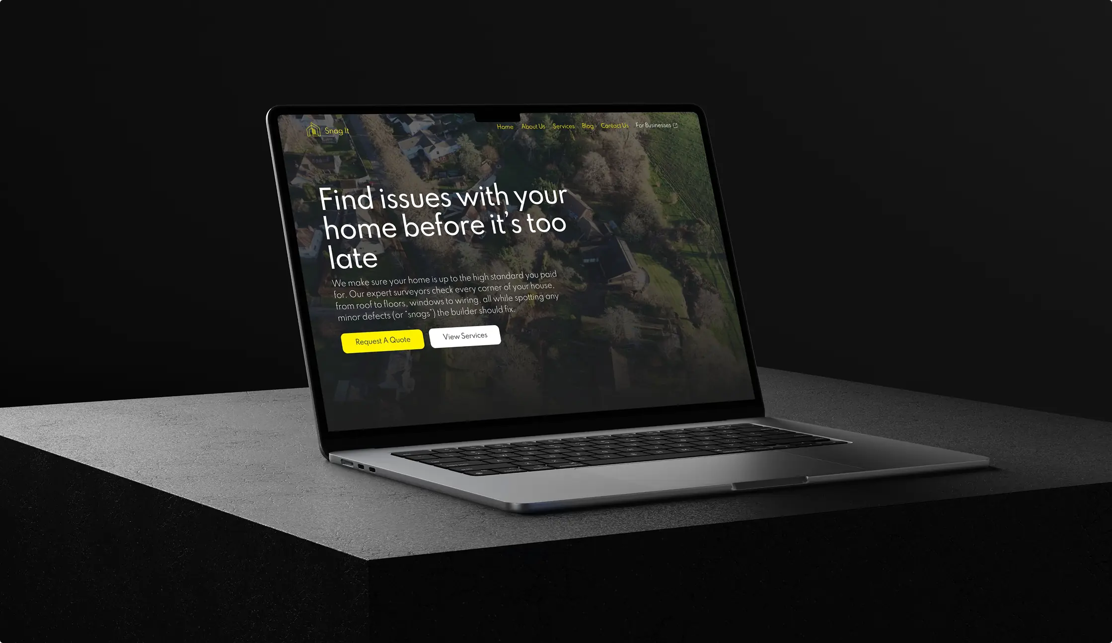 The New Snag It Website